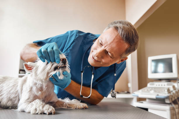 Best Emergency Root Canal Treatment in Henagar, AL